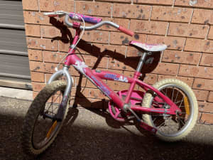 Kids Bicycle (80cm)