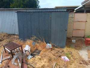 backyard beauty- garden shed REDUCED