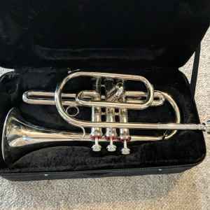 Cornet for decoration / wall hanging
