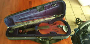 Violin in case.