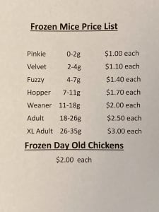 Reptile food frozen mice and chickens 