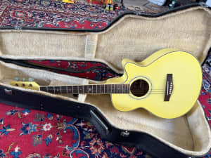 Collectable Guitar with hard case $200 Parramatta or Willoughby