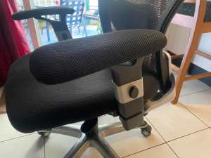 Deluxe Mesh Ergonomic Office Chair with Headrest