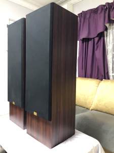 Interdyn P3 Flooring Standing Speakers - Excellent Condition