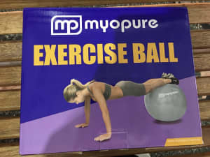 Exercise ball and pump
