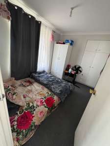 Room for single girl or a couple