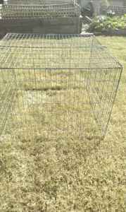 Steel Cage with top and 2 latch door, 