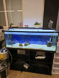 4ft Aqua one Horizon 180 fish tank