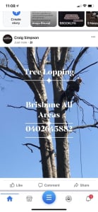 THE GUY TREE LOPPING , LAWN MOWING , PROPERTY MAINTENANCE 
