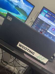 Wooting TwoHE keyboard