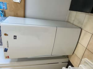 Fisher & Paykel Fridge excellent working condition hurry has to go
