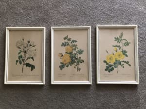 Vintage Rose prints