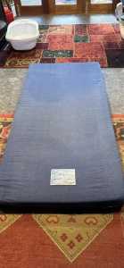 Blue 100mm thick single foam mattress