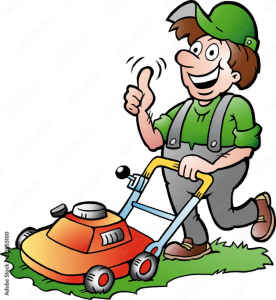 Established Lawn Mowing and Gardening Business in the Newcastle Area