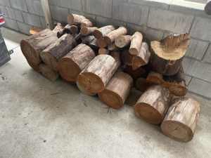 Bluegum firewood