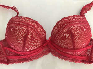 Size 14D Red and Nude PLEASURE STATE Padded Bra $10.