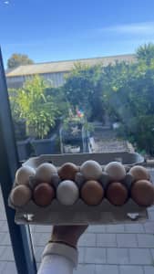 Large Organic Eggs (non-fertile)