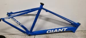 2010 Giant XTC 1 frame 22" XL