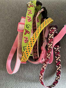 COLLARS (8) and LEADS (3) for your female dog