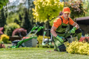 $ 40 per hour Gardener needed in Hope Island Gold Coast