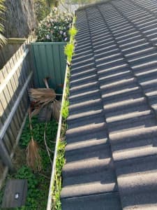 Gutter cleaning and roof repairs 