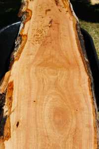 Feature Blackbutt Timber Slab no.65 (2.41m x 36 52cm x 30mm)