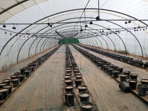 Work available greenhouse installation 