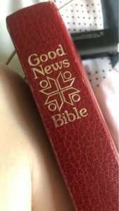 Good news bible gold pgs