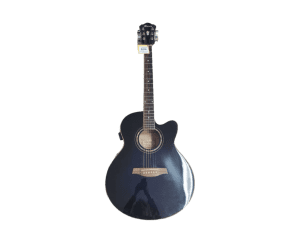Acoustic Guitar IBANEZ AEL-MBS 27-03 3LXJTY 017100250982