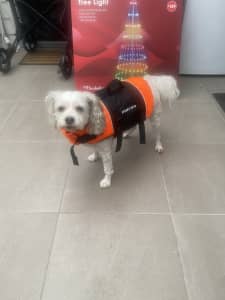 Small Dog Flotation Vest