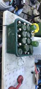 Grolsch swing top beer bottles for home brewing