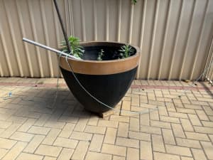 Black and gold Plant pots