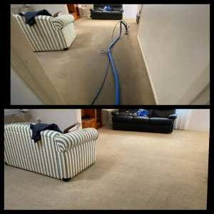 Bond Back Cleaning/ Carpet Steam Cleaning Services