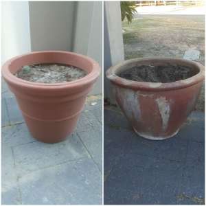 Large garden pots both for $50