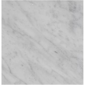 Italian Bianco Carrara Honed Marble Size: 610x305x10mm