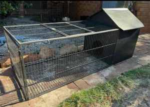 Guinea Pig/ Rabbit Cage