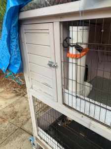 Hutch Guinea pig or rabbit house