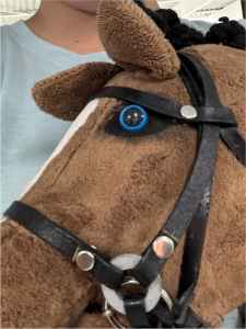 Hobby horse with stick no bridle 