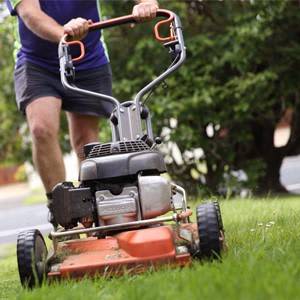 Newcastle Gardener Wanted For Ongoing Gardening and Lawn Mowing Work