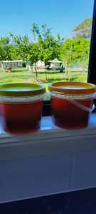 Wanted: Cold extracted row, honey pure for sale. 