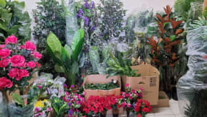 Artificial Plants 7 DAYS massive range from $9 grass to trees