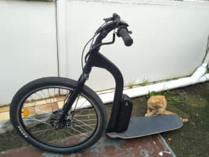 electric bike / skateboard 