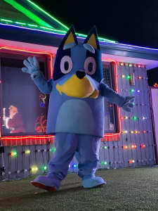 Bluey & Bingo Mascot Costumes for sale (not hire)