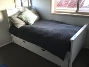Treehouse single trundle bed