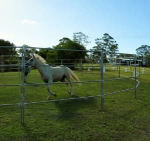 Round Yard - Especially for Horses - Australian Made /Australian Steel