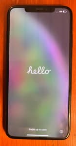 iPhone xs max 64g light gray/black (great condition)