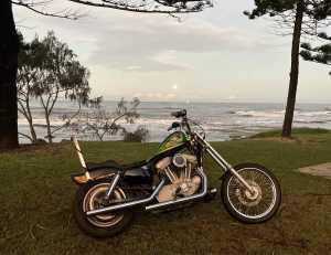 2009 Harley Davidson Sportster Chopper