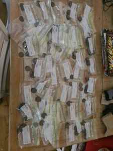 295 Assorted Pennys Bagged and sorted into years******1965