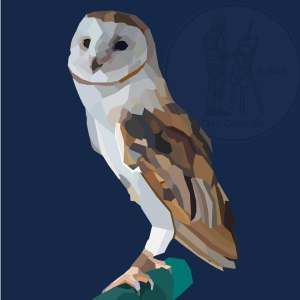 16x16 Inch Unframed Barn owl- Home decor/Gift