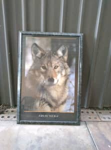 Wolf Picture Frame 